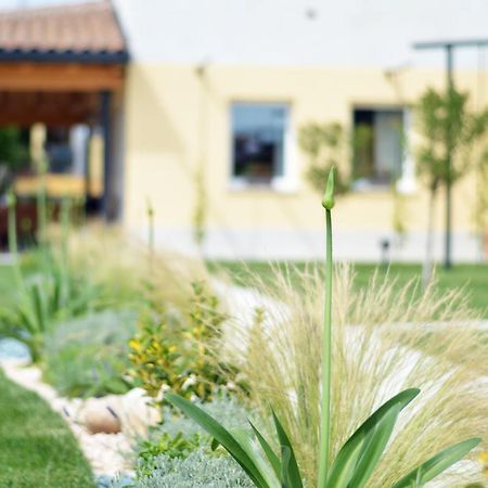 Agriturismo Pepe Rosa Rivoli Veronese 外观 照片
