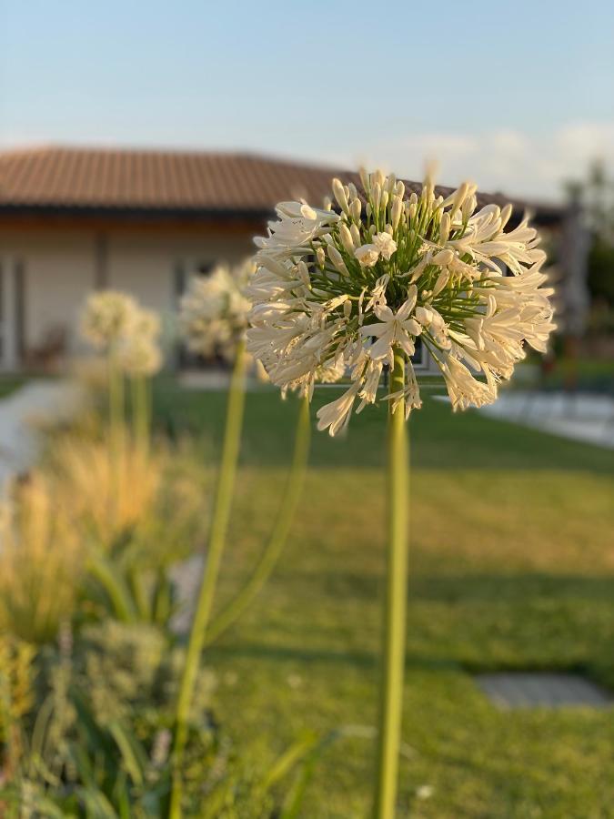 Agriturismo Pepe Rosa Rivoli Veronese 外观 照片